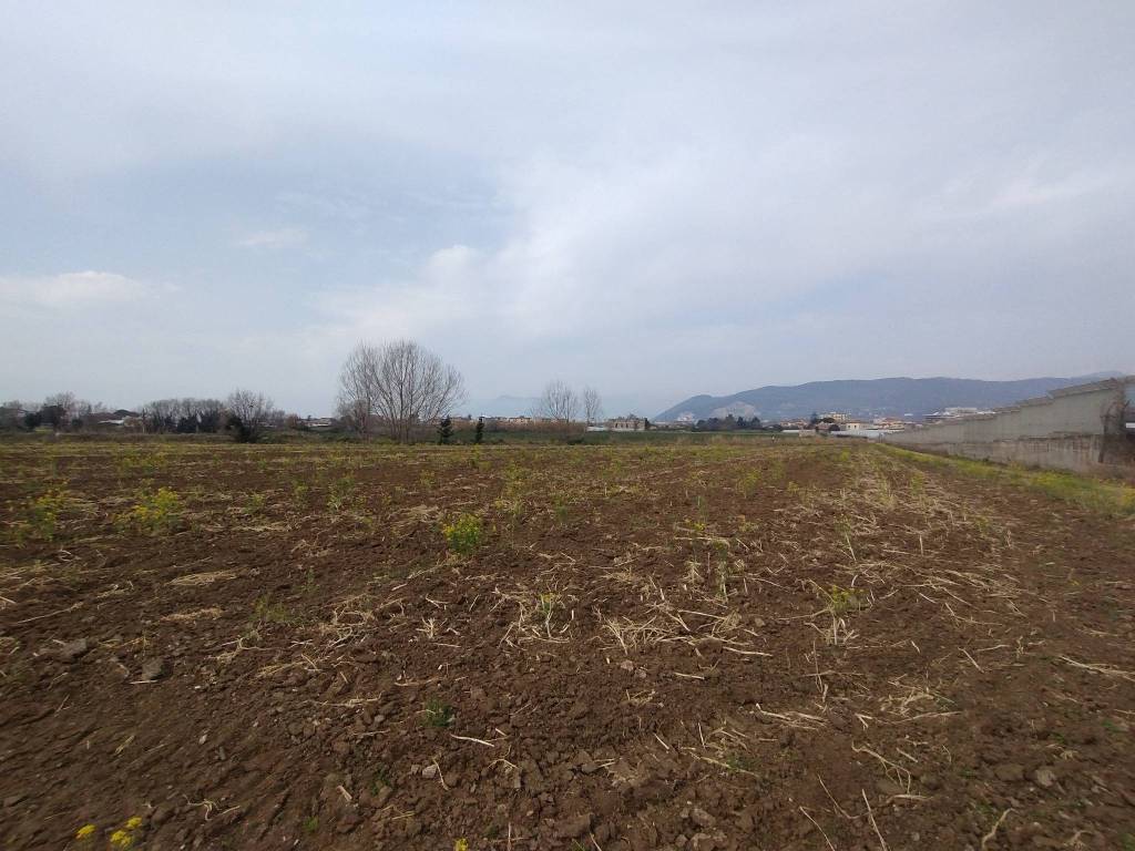 immagine annuncio 2 di 7