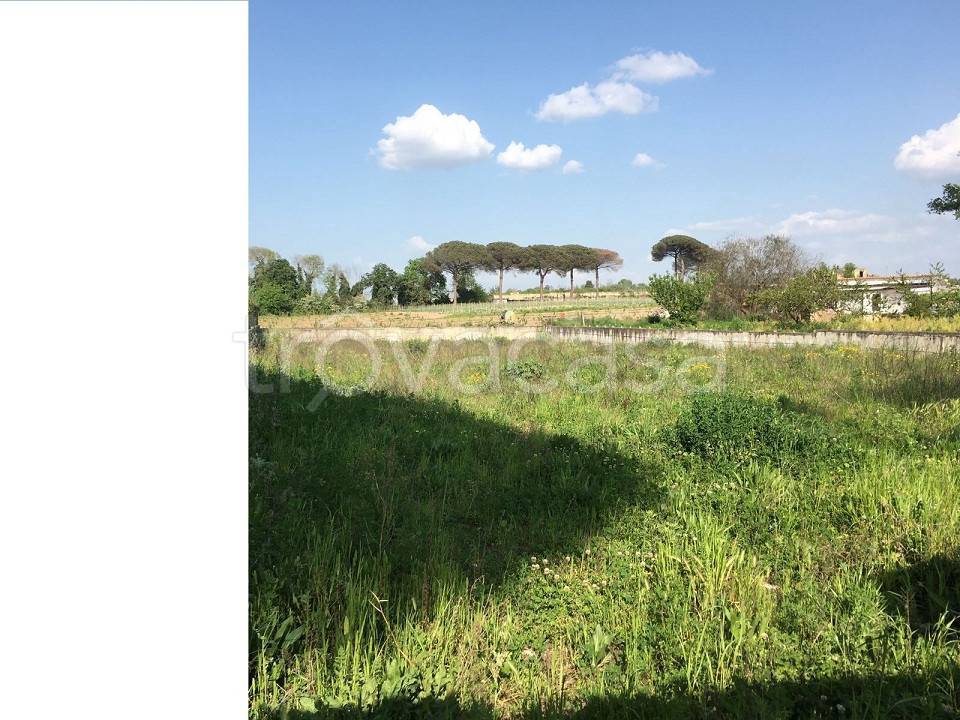 Terreno Agricolo in vendita a Giugliano in Campania via Madonna del Pantano