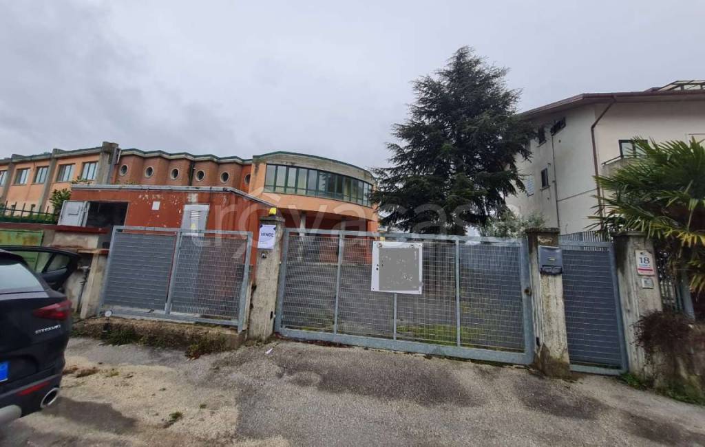 immagine annuncio 1 di 11