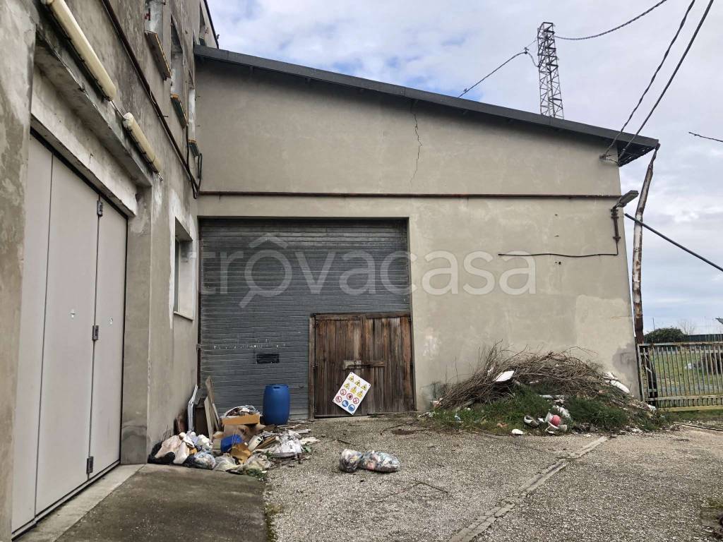 immagine annuncio 1 di 9