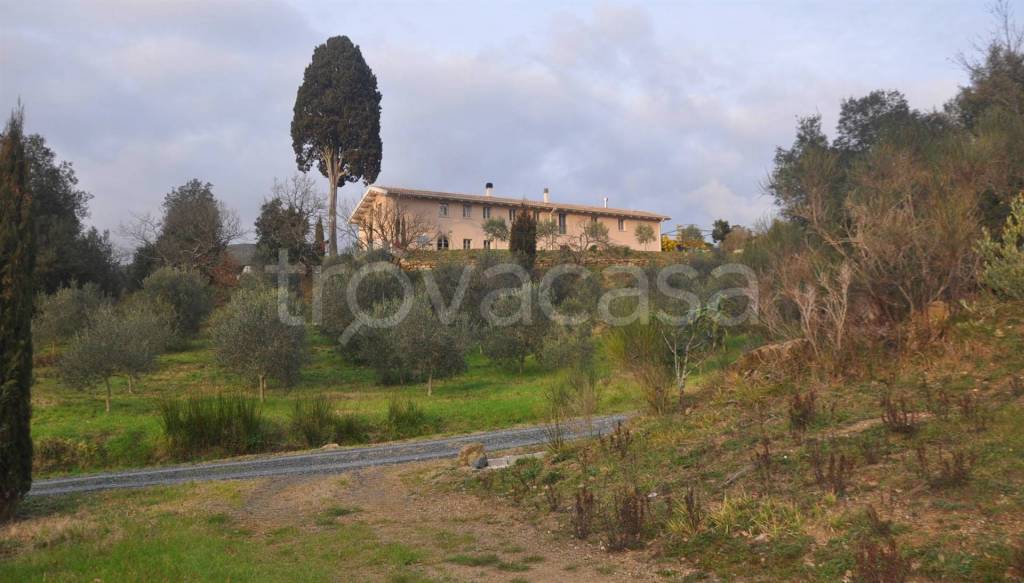 Azienda Agricola in vendita a Livorno via Domenico Francesco Falcucci