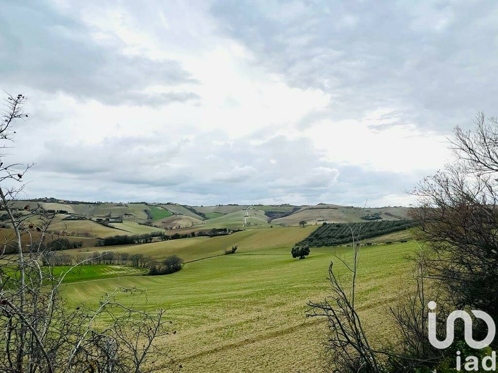 immagine annuncio 8 di 9