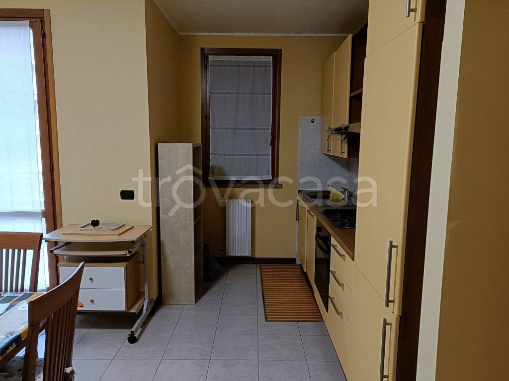 immagine annuncio 2 di 14