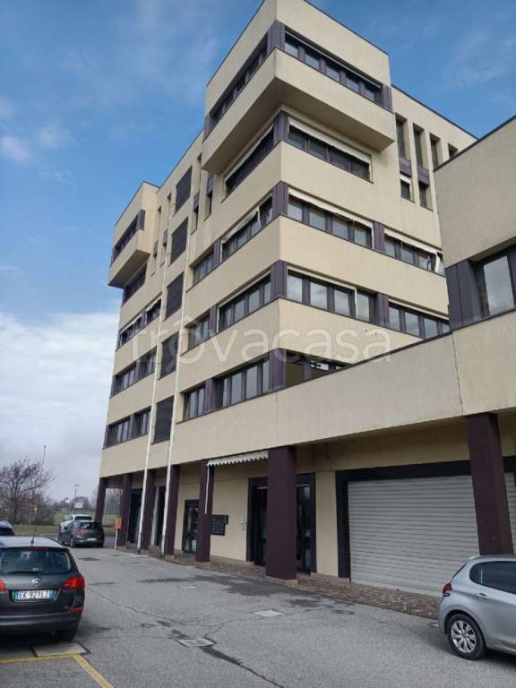 immagine annuncio 1 di 14