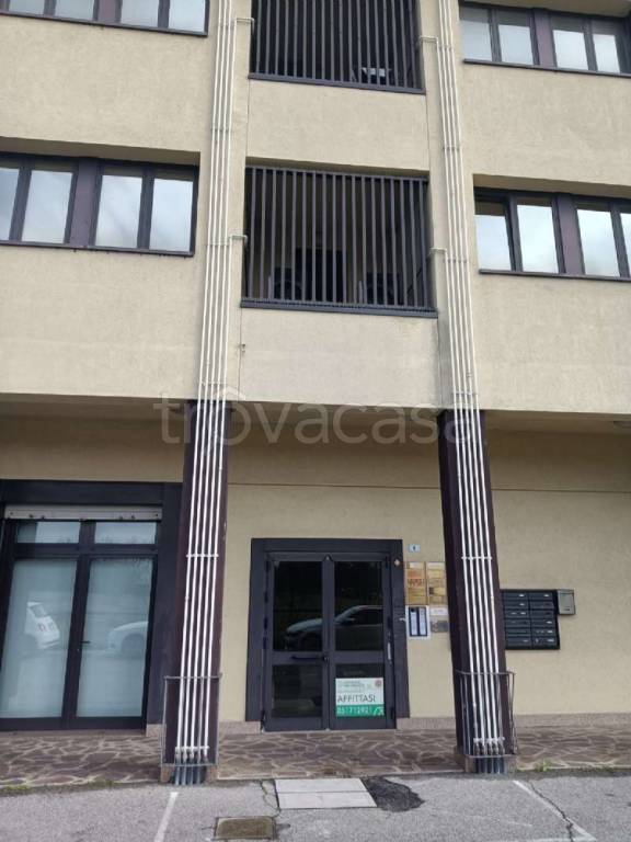 immagine annuncio 3 di 14