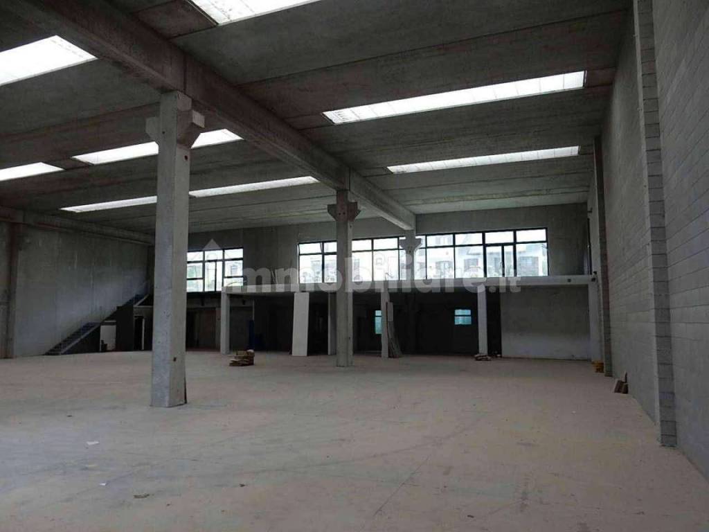 immagine annuncio 2 di 9