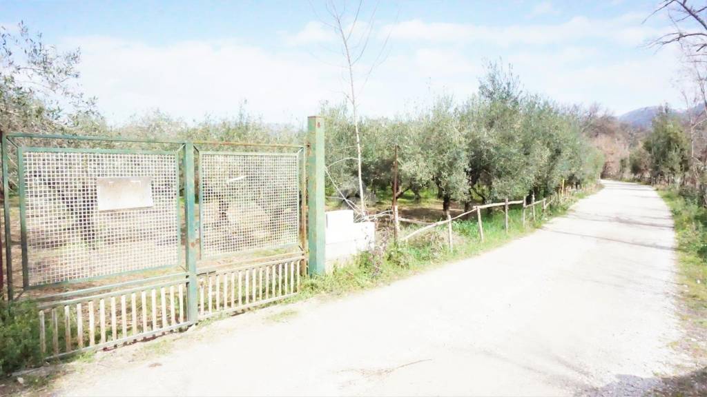 Terreno Agricolo in vendita a Montecorvino Rovella