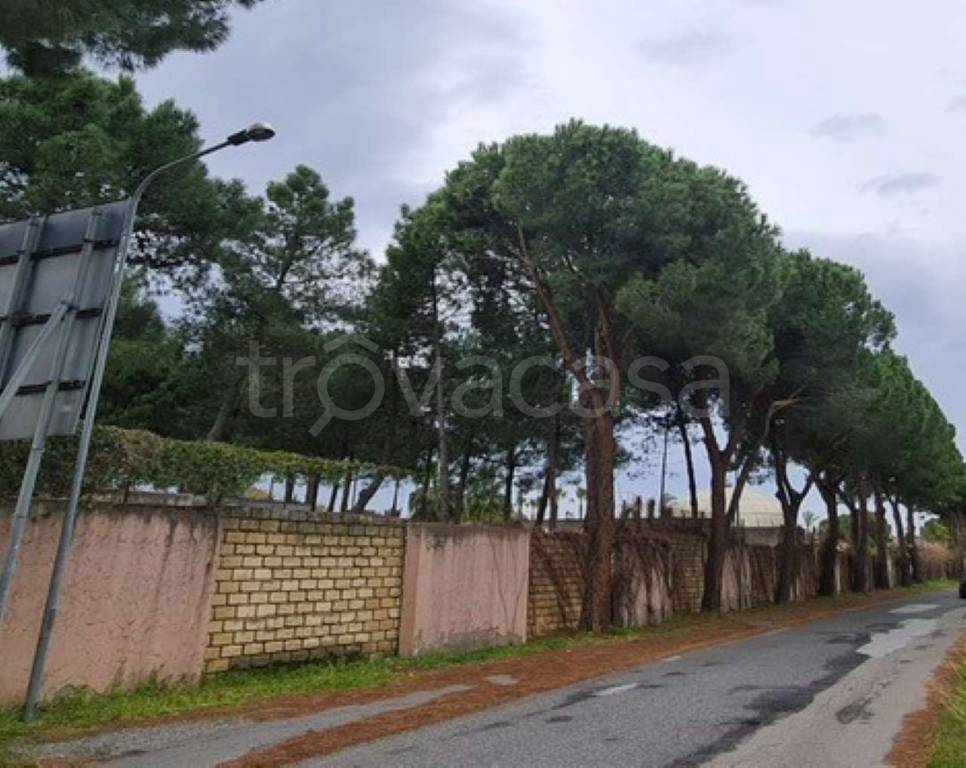 immagine annuncio 2 di 4