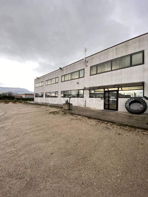 Capannone Industriale in in vendita da privato a Gualdo Tadino via Flaminia Nord