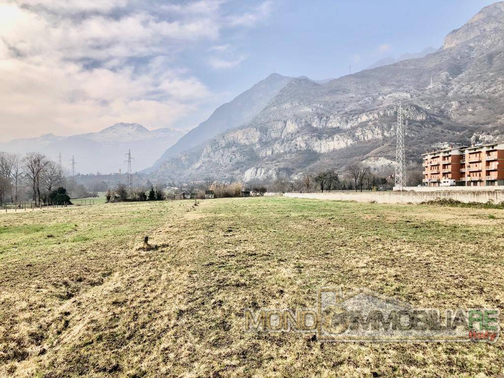 immagine annuncio 4 di 6