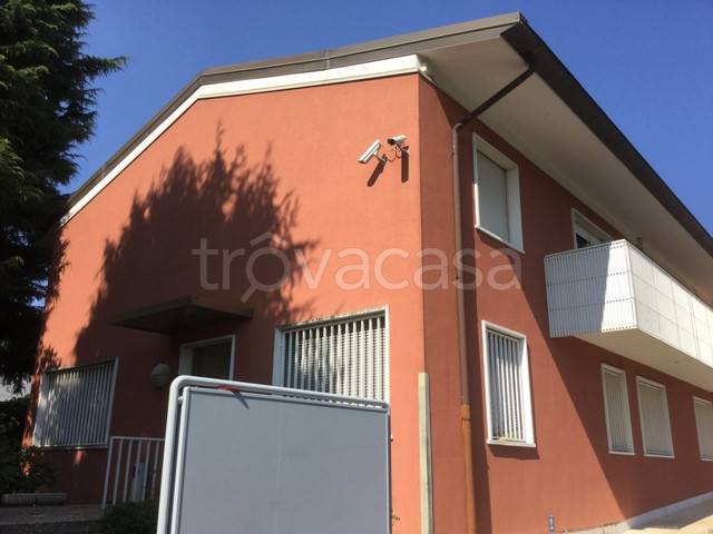 immagine annuncio 10 di 14
