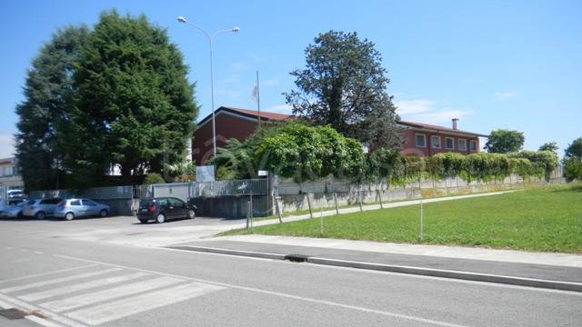 immagine annuncio 13 di 14