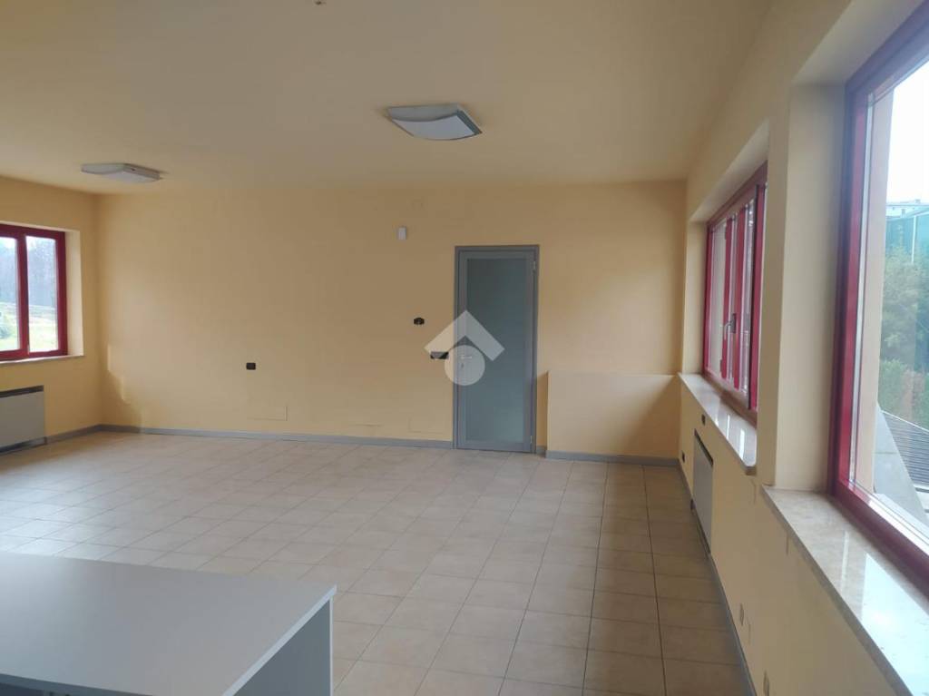 immagine annuncio 2 di 6