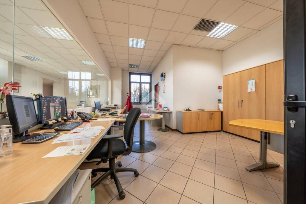 immagine annuncio 10 di 15