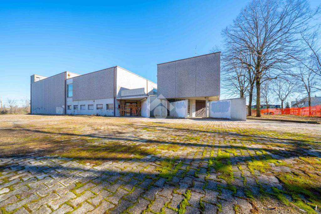 immagine annuncio 4 di 15