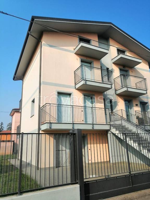 immagine annuncio 12 di 14