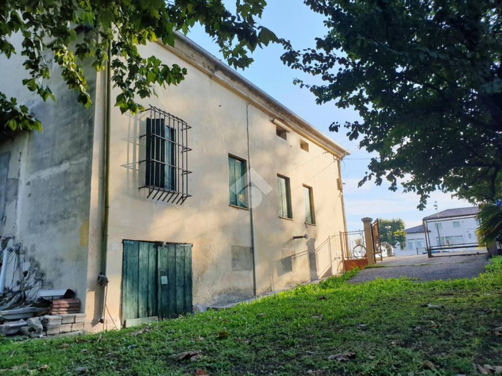 immagine annuncio 5 di 9