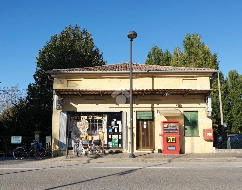 immagine annuncio 2 di 9