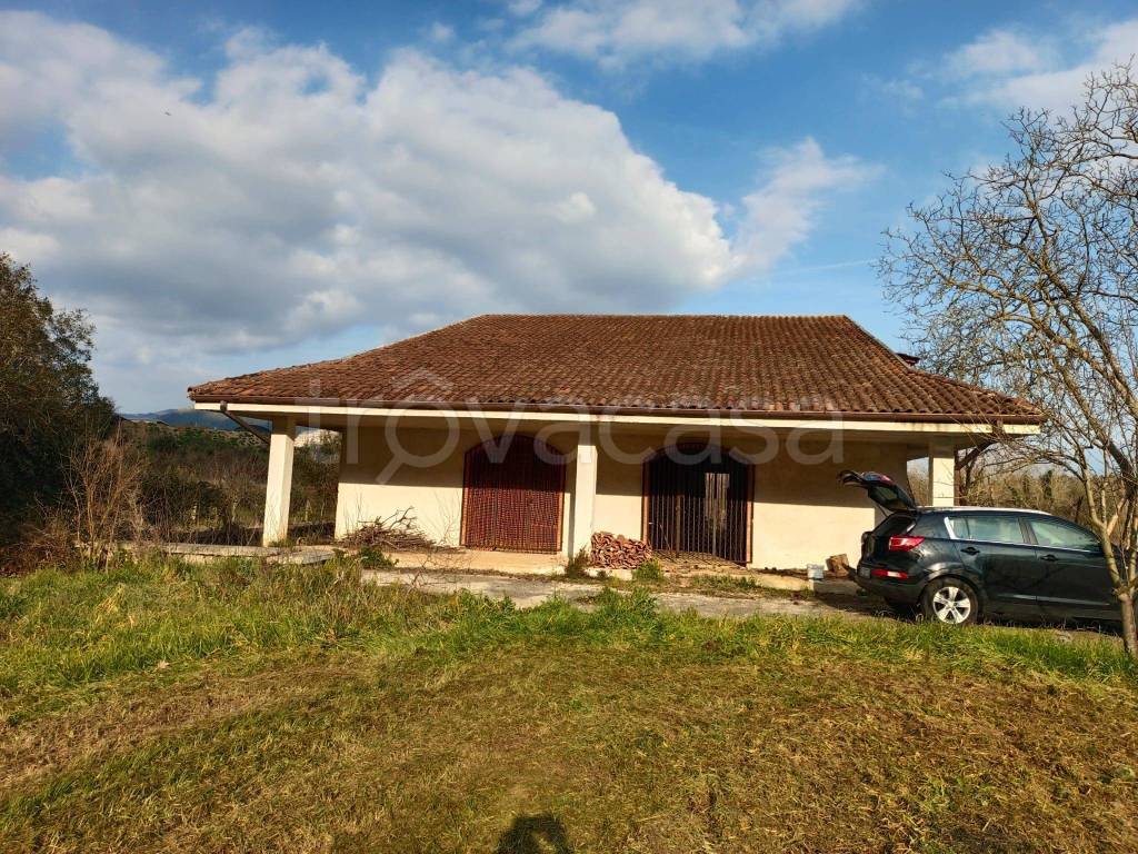 immagine annuncio 1 di 8