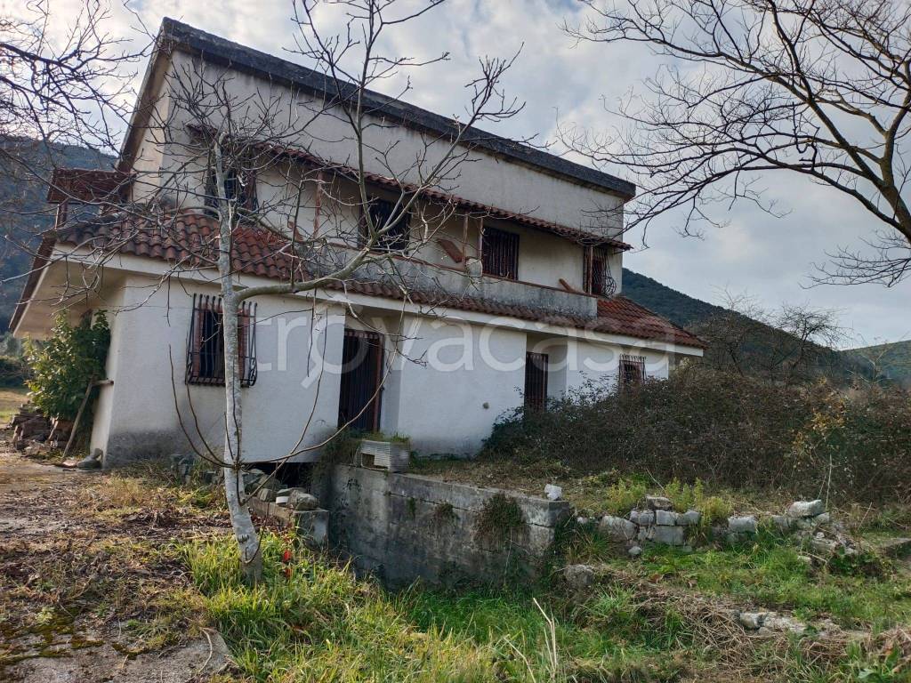 immagine annuncio 3 di 8