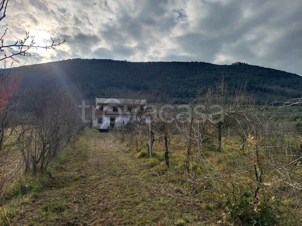 immagine annuncio 4 di 8