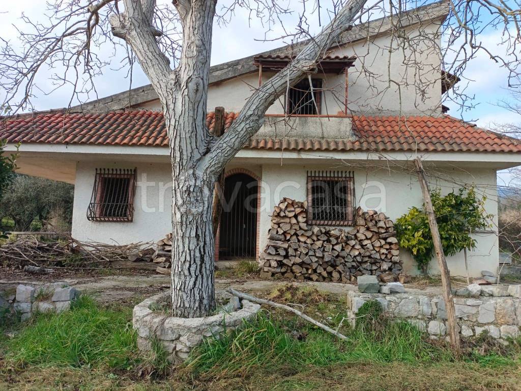 immagine annuncio 6 di 8