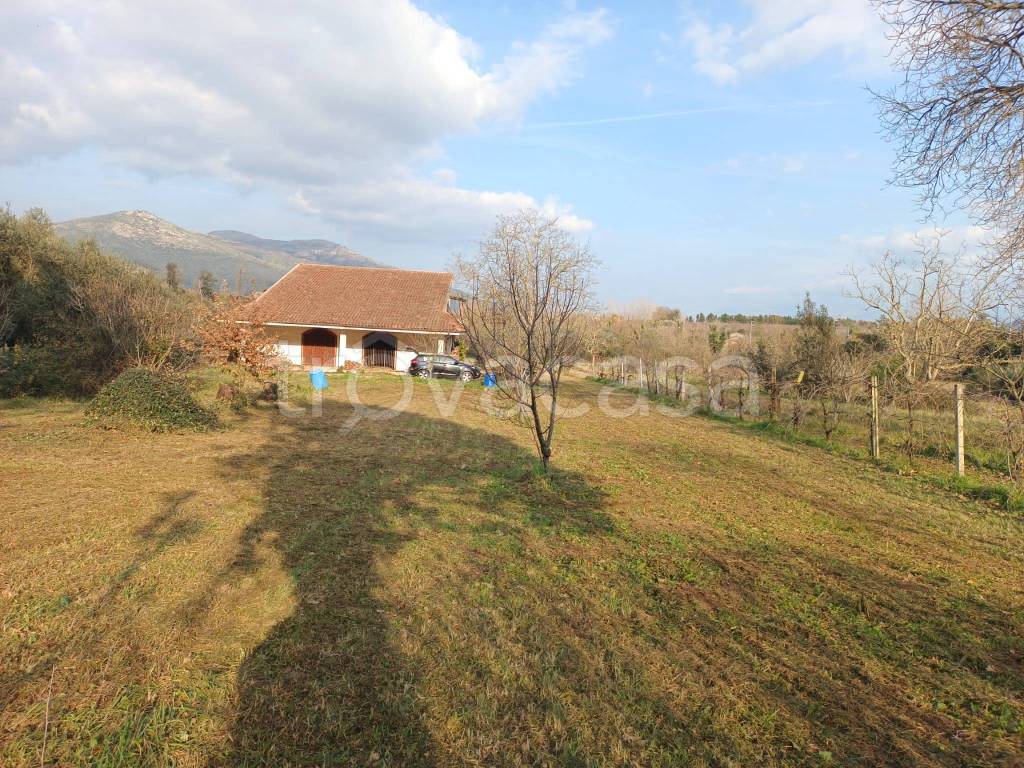 immagine annuncio 7 di 8