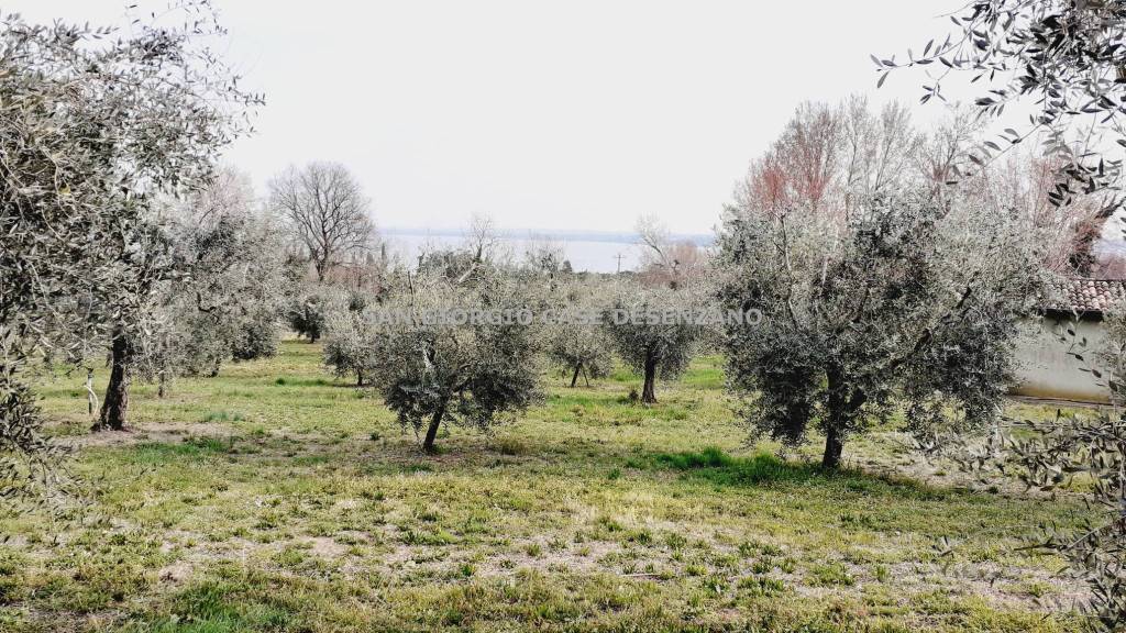 Terreno Agricolo in vendita a Desenzano del Garda