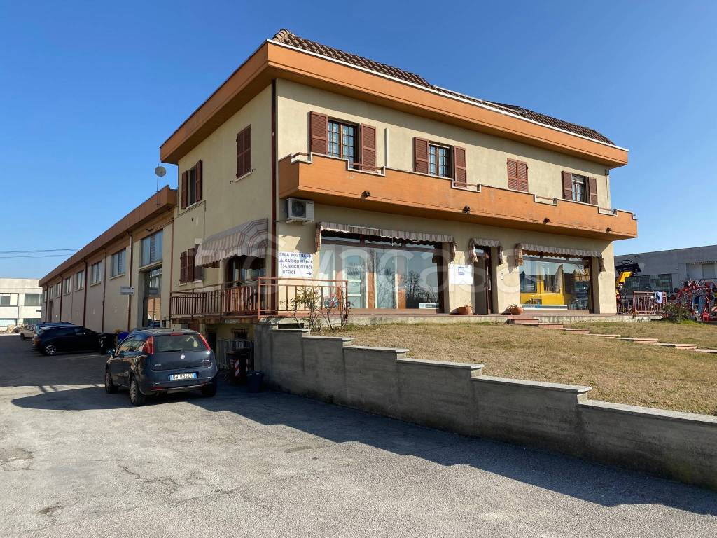 immagine annuncio 2 di 15