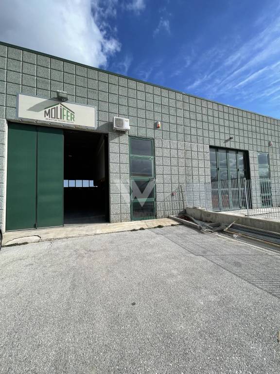 immagine annuncio 7 di 14