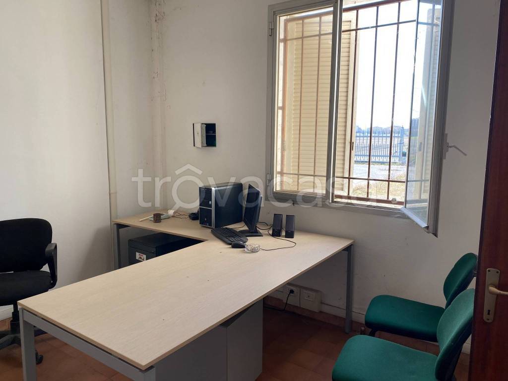 immagine annuncio 5 di 11