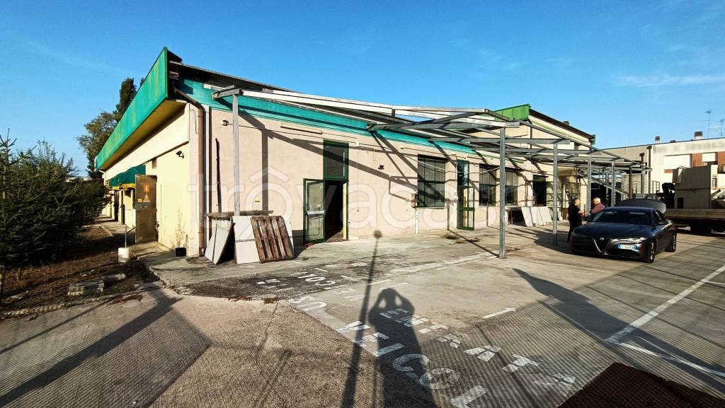 immagine annuncio 1 di 12