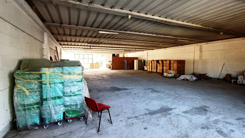 immagine annuncio 2 di 12