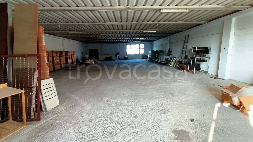 immagine annuncio 3 di 12