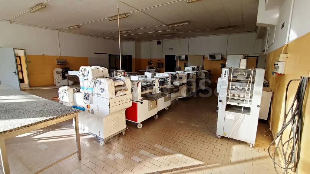 immagine annuncio 4 di 12