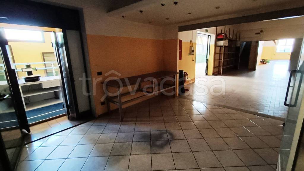 immagine annuncio 7 di 12