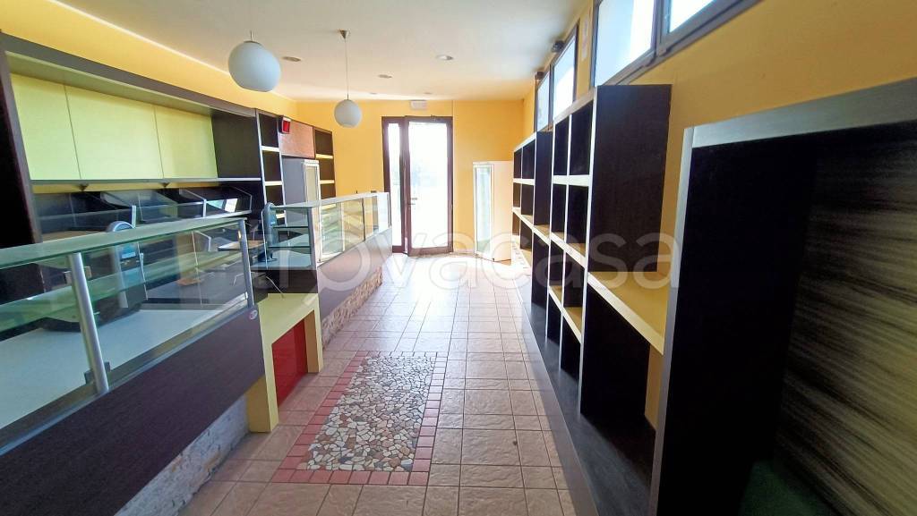 immagine annuncio 9 di 12