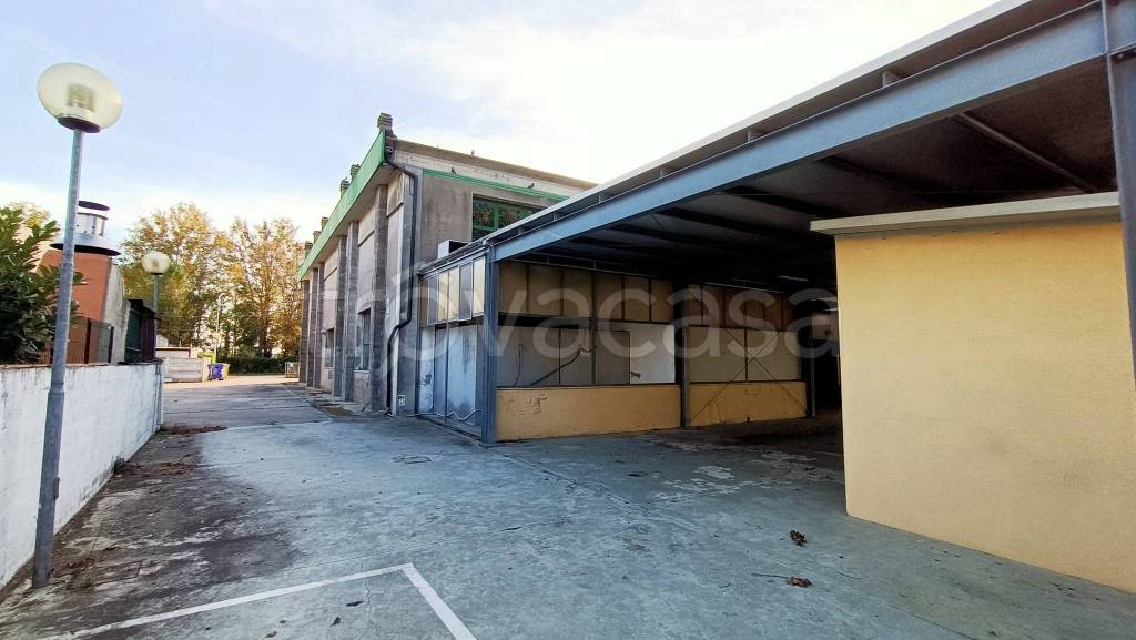 immagine annuncio 11 di 12