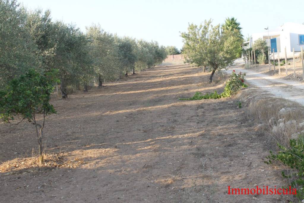 Terreno Agricolo in vendita a Ispica via della Malva