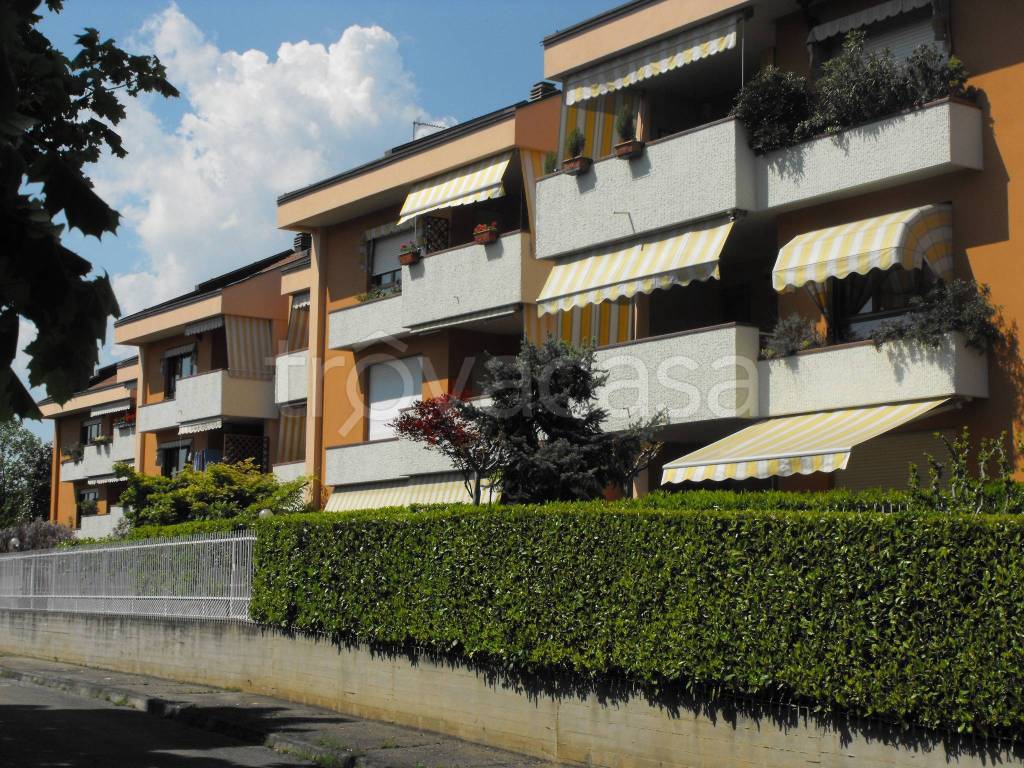 immagine annuncio 13 di 15