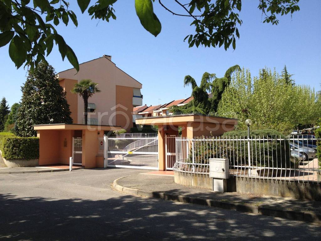 immagine annuncio 9 di 15