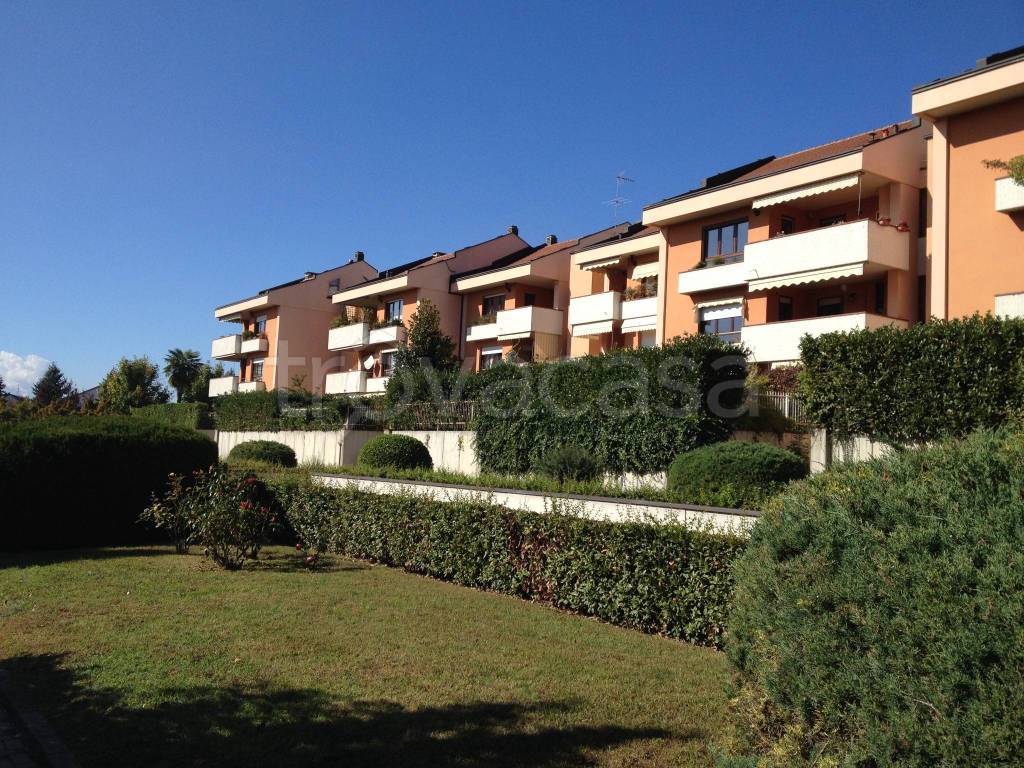immagine annuncio 7 di 15