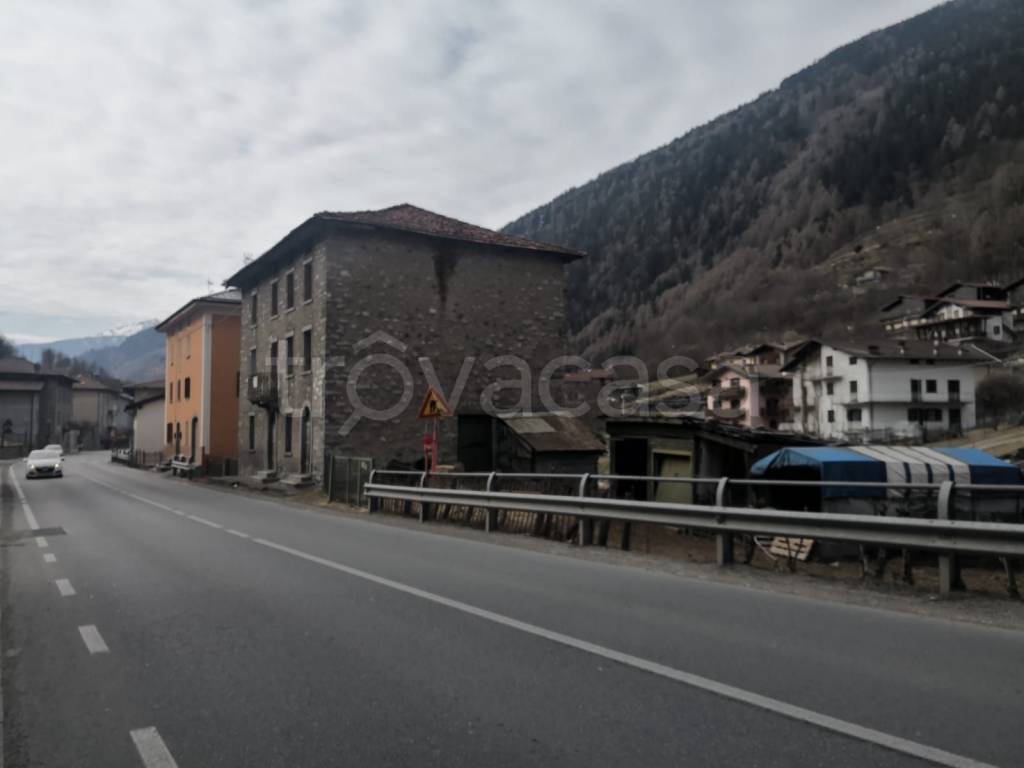 immagine annuncio 12 di 15