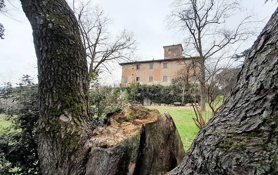 immagine annuncio 13 di 15