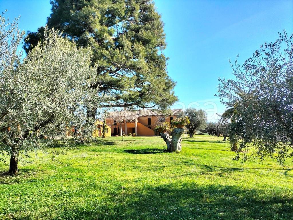 Villa in vendita a Offagna via Pago