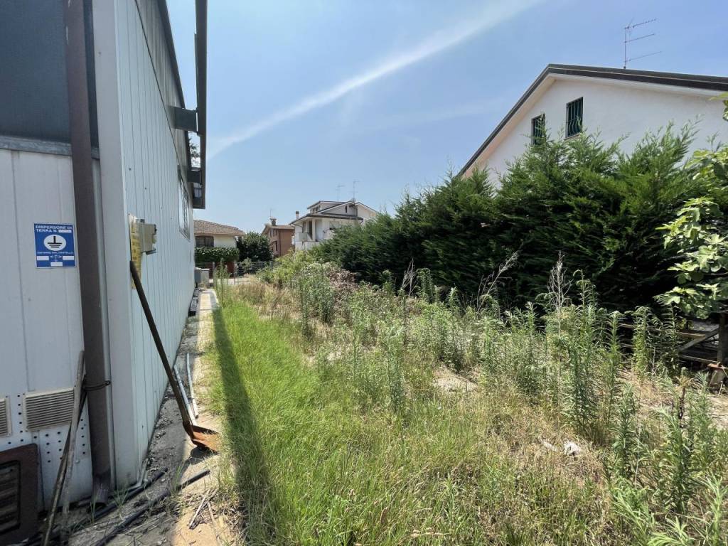 immagine annuncio 5 di 12