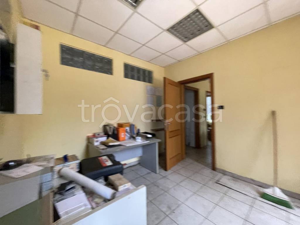 immagine annuncio 9 di 12