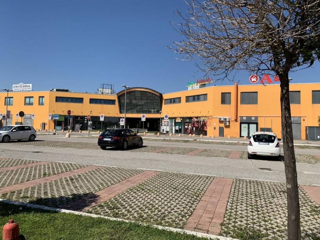 immagine annuncio 1 di 12