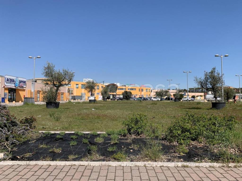 immagine annuncio 8 di 12