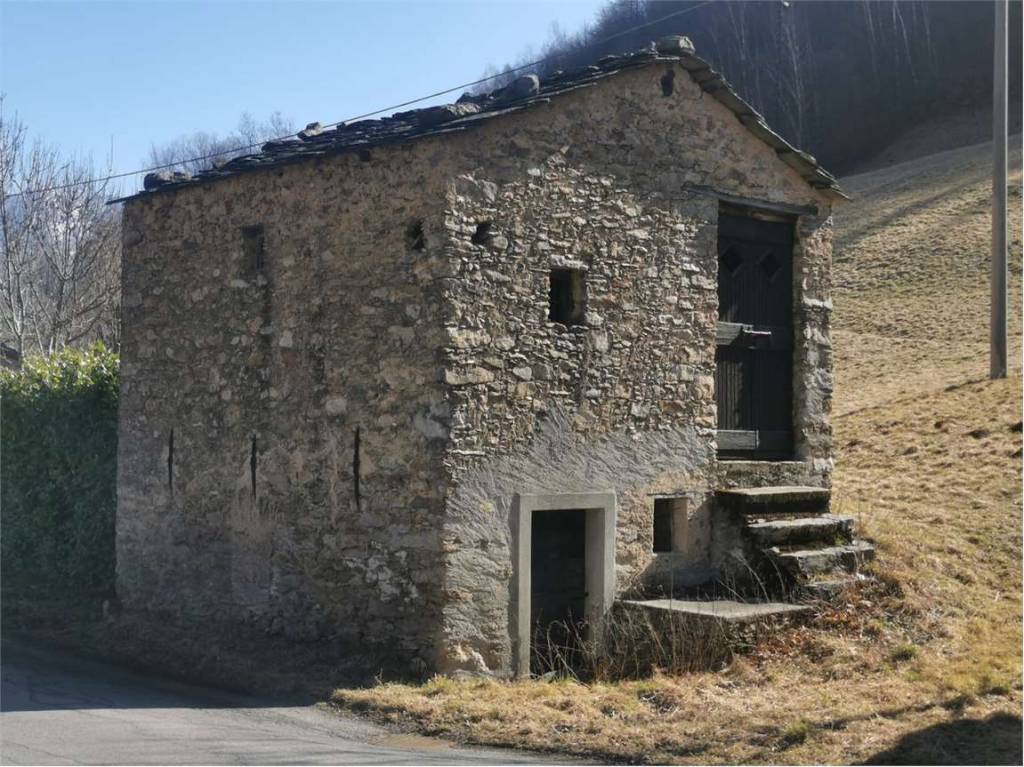 immagine annuncio 3 di 8